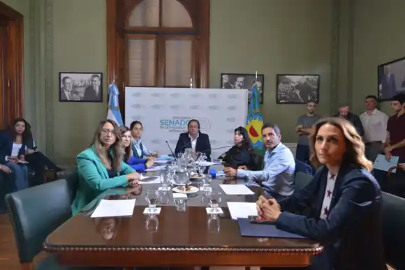 Proyecto sobre reelecciones indefinidas: Hubo dictamen de comisión en el Senado bonaerense