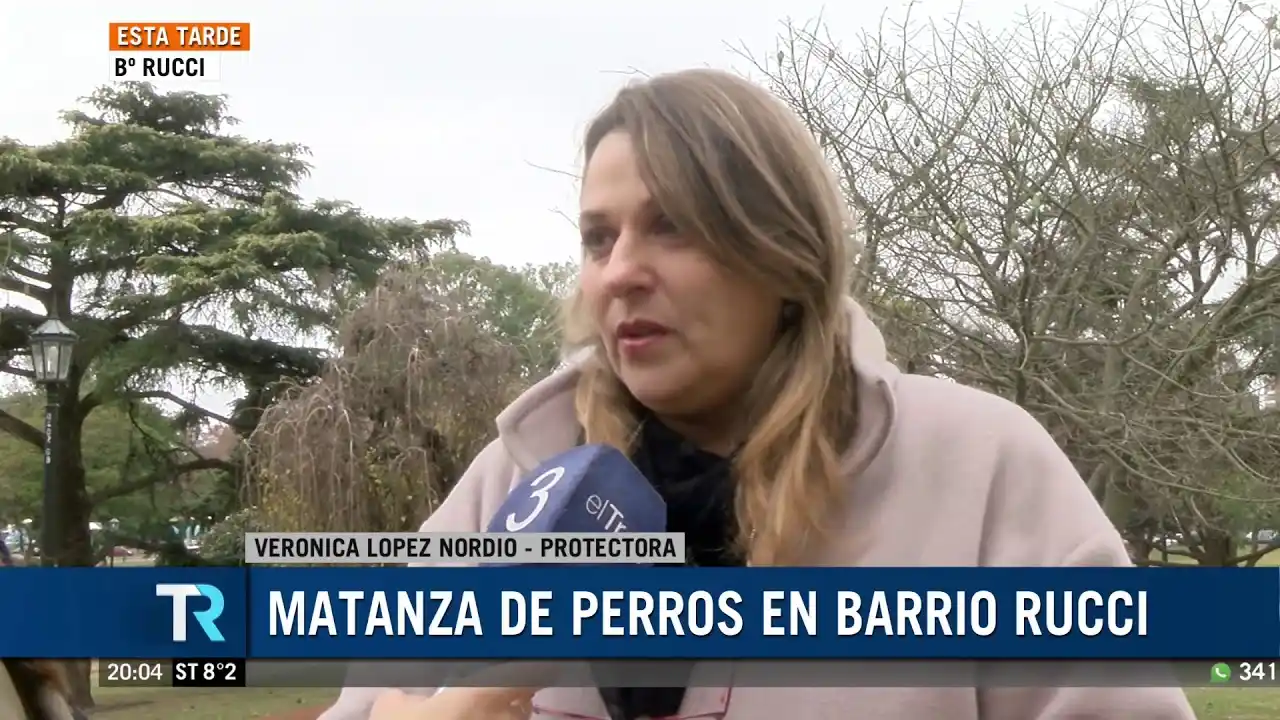 Rosario: encontraron perros y animales mutilados