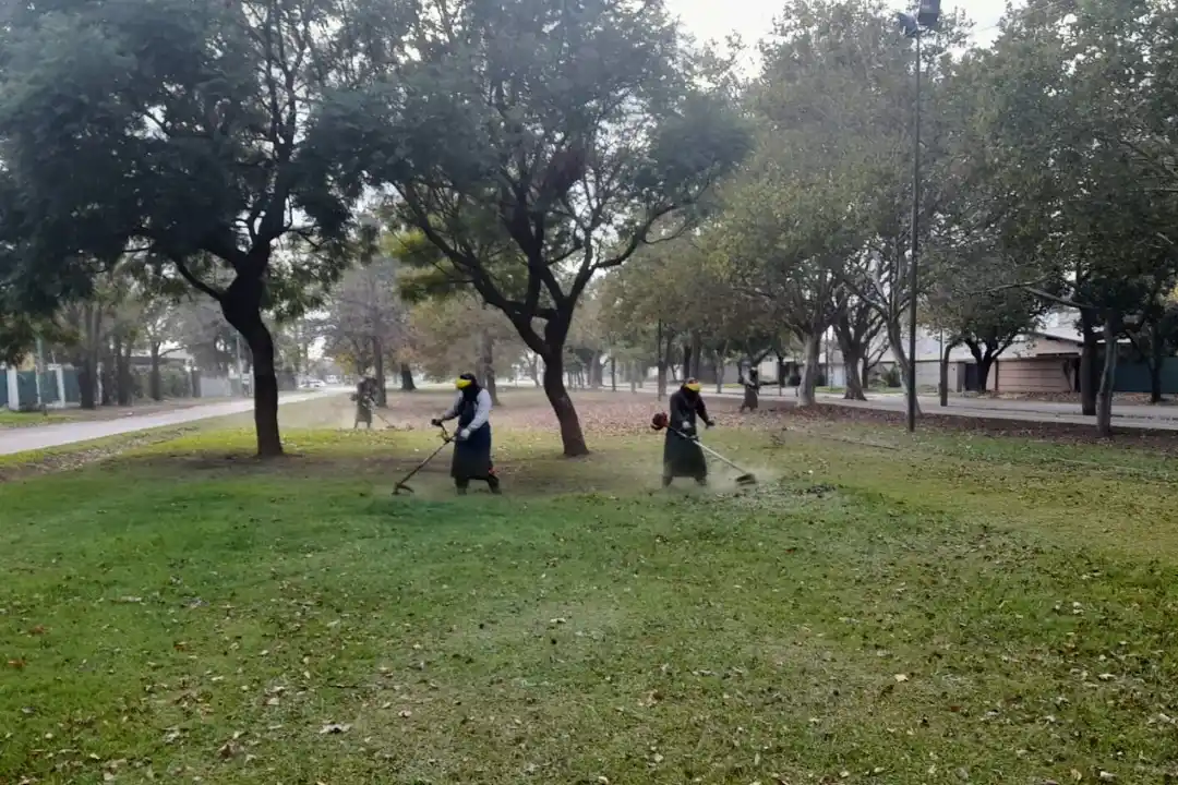 Tareas de desmalezado en distintos sectores de la ciudad