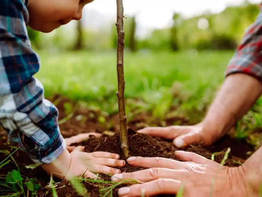 Conciencia ambiental en argentina: reflexion sobre cómo habitar el planeta