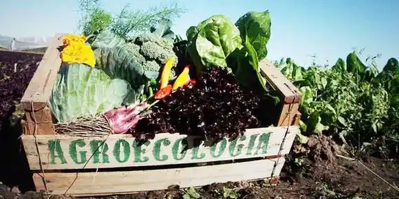 Reprogramación de la jornada “Mes de la Agroecología”