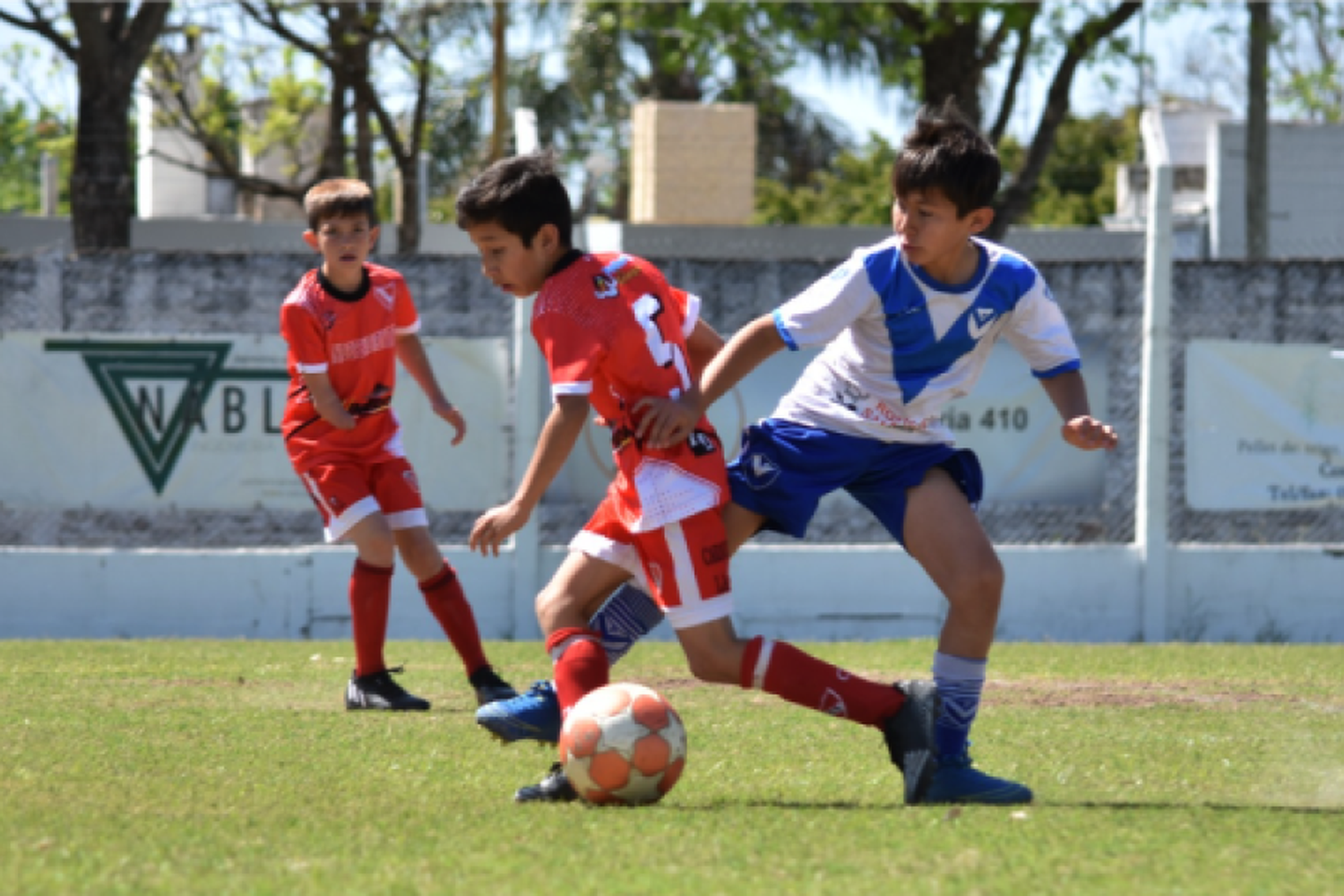 Inicia la Copa Integración Sub 12 de LRF