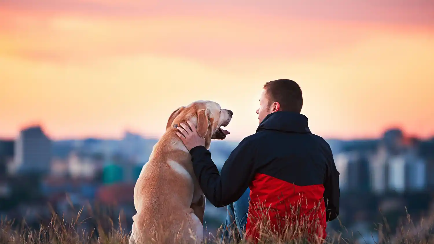 ¿Qué significa que tu perro te siga a todos lados?