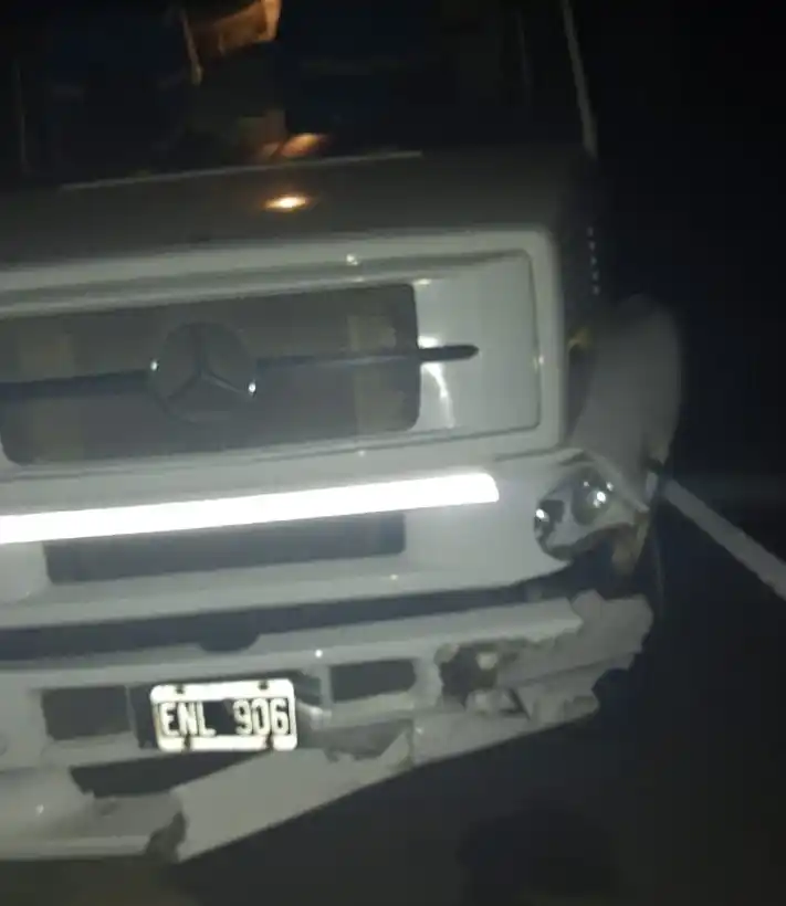 Un camión chocó a un vacuno en plena Autovía 14