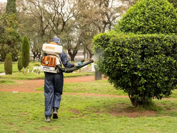 El municipio continuará esta semana con los operativos de fumigación en plazas y espacios verdes