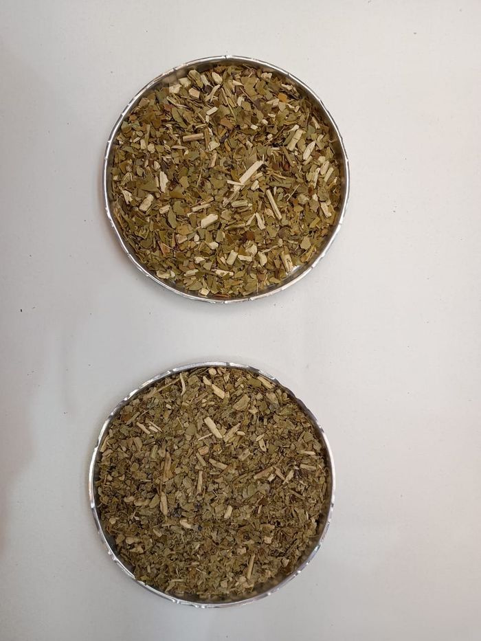 Primeras muestras de PROMATE