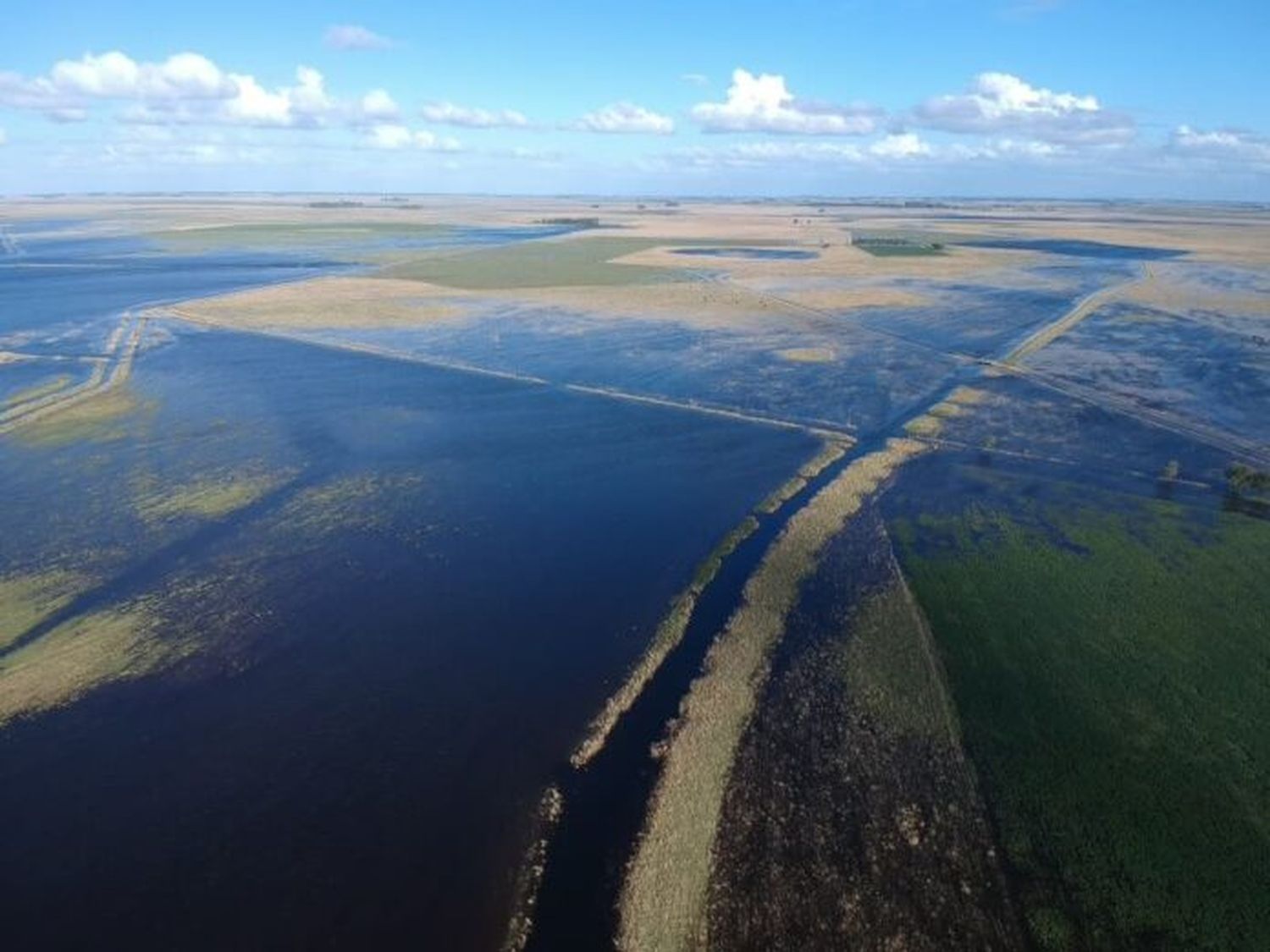 En alerta: más de la mitad de la provincia de Buenos Aires sufre excesos hídricos