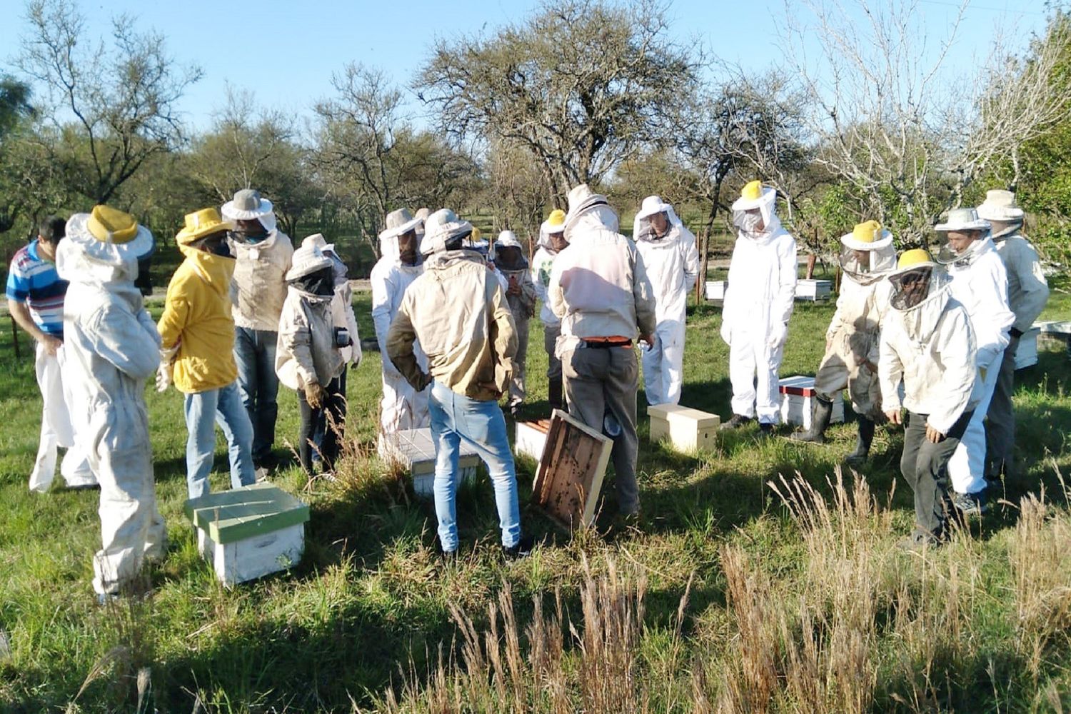 Nación y provincia trabajan en perfeccionar las salas de extracción de miel para mejorar su calidad