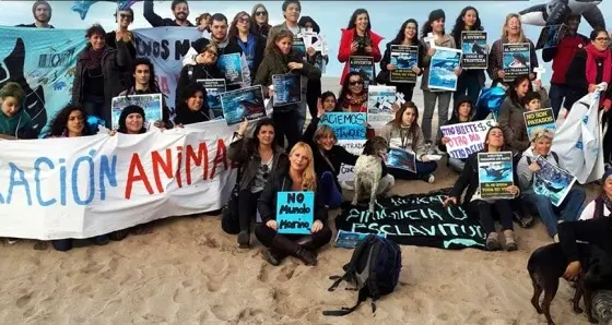 Protestan contra Mundo Marino y piden la liberación de una orca