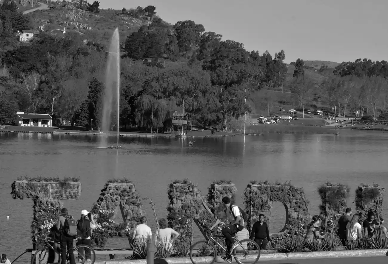 Lo que le importa al "tandilense promedio": plazas, veredas, ruidos molestos y perros sueltos