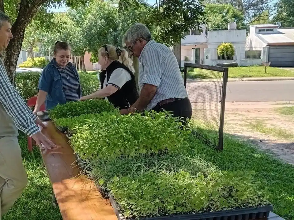 El programa municipal de huertas agroecológicas ya alcanza a 2.000 familias