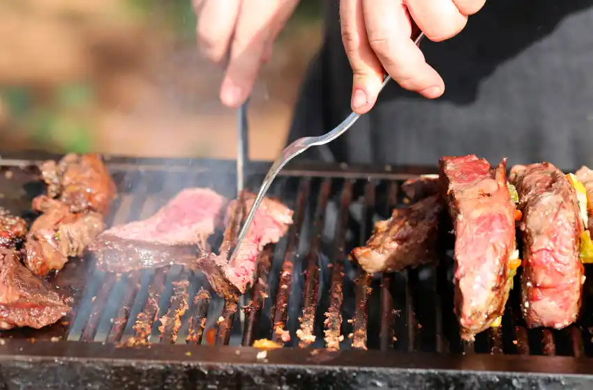 No se registraron casos de salmonella en Mar del Plata