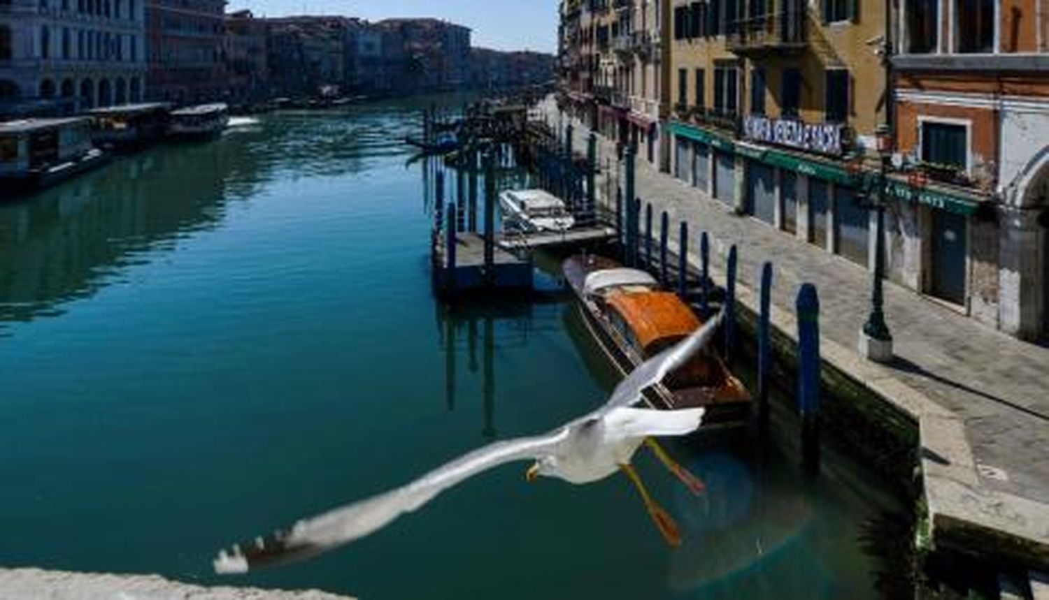 Así se ven las transparentes aguas de Venecia desde el espacio