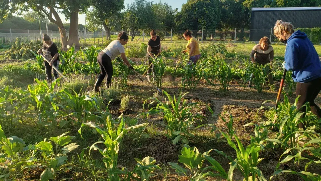 La Escuela Municipal de Jardinería y Agroecología abre nuevas capacitaciones gratuitas