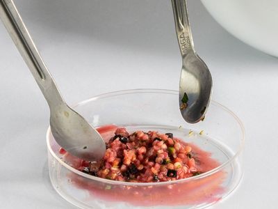 “La carne creada en laboratorio no competirá con la ganadería, sino que la complementará”