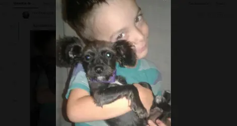 Buscan a esta perrita