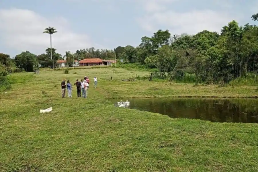 La zona en la que se construirá la comunidad cuenta con un lago natural y varios árboles.