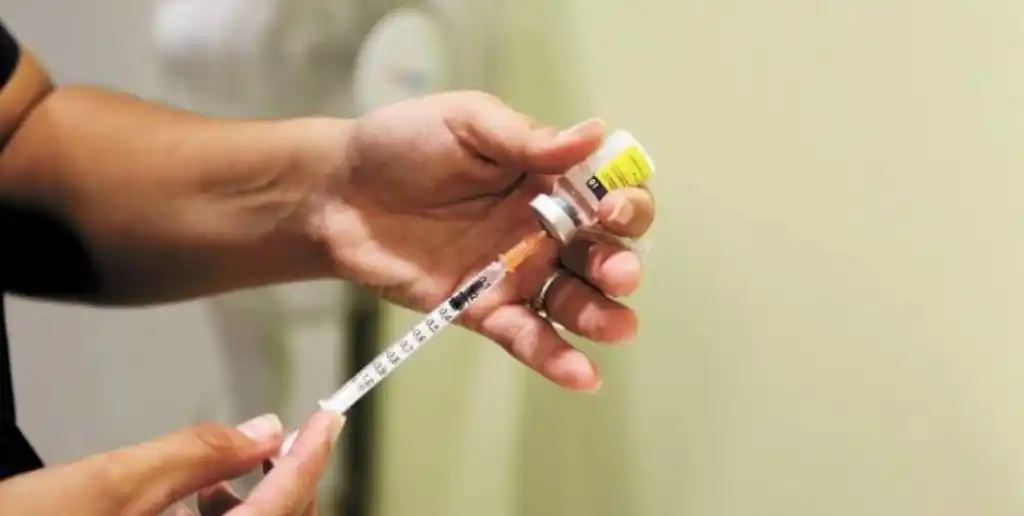 La enfermedad es transmitida por el mosquito Aedes aegypti