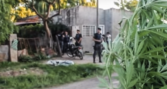 Buscaban armas y encontraron marihuana