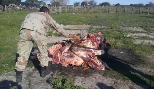 Secuestraron 400 kilos de carne no estaba apto para consumo humano