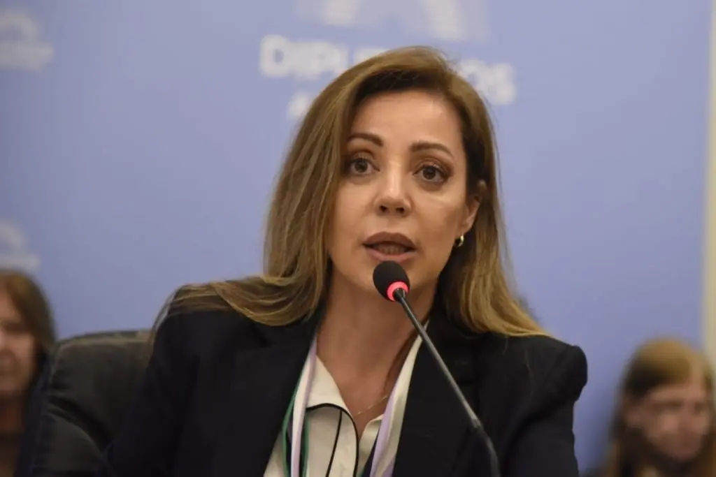 En vivo: Diputados recibe a Royón para avanzar en el régimen de promoción de gas natural en Argentina