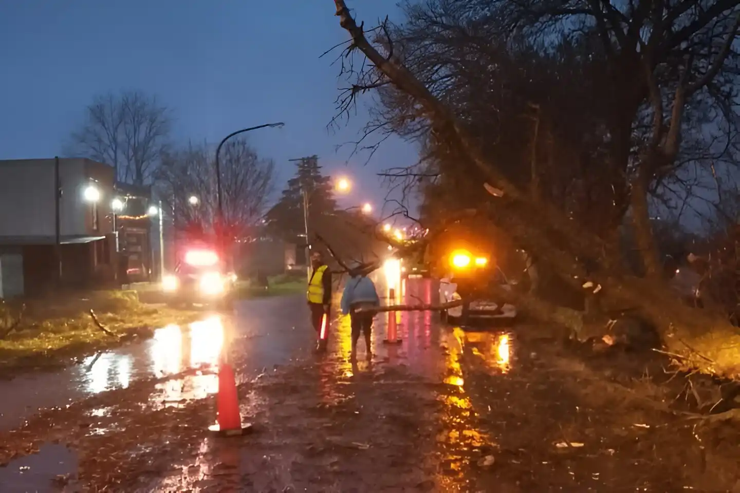 El tránsito estuvo asistido en ruta 191 hasta que retiraron el árbol.