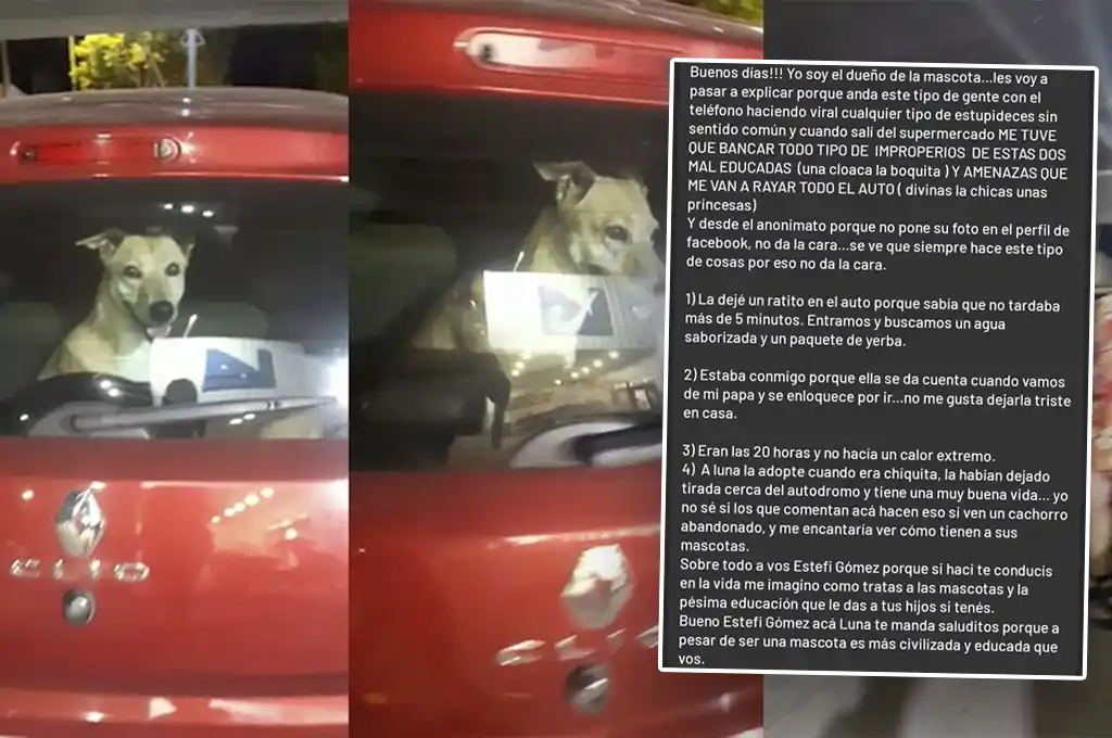 Tras el video viral, habló el dueño de la perrita encerrada en un auto en Rafaela, ¿qué dijo?