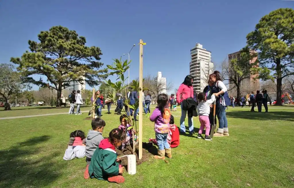 Programa de Reconstrucción: ya se plantaron 9 mil árboles en toda la ciudad