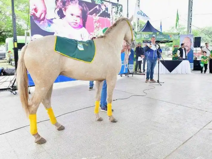 Comenzará a funcionar la primera 
escuela de equinoterapia en Las Lomitas