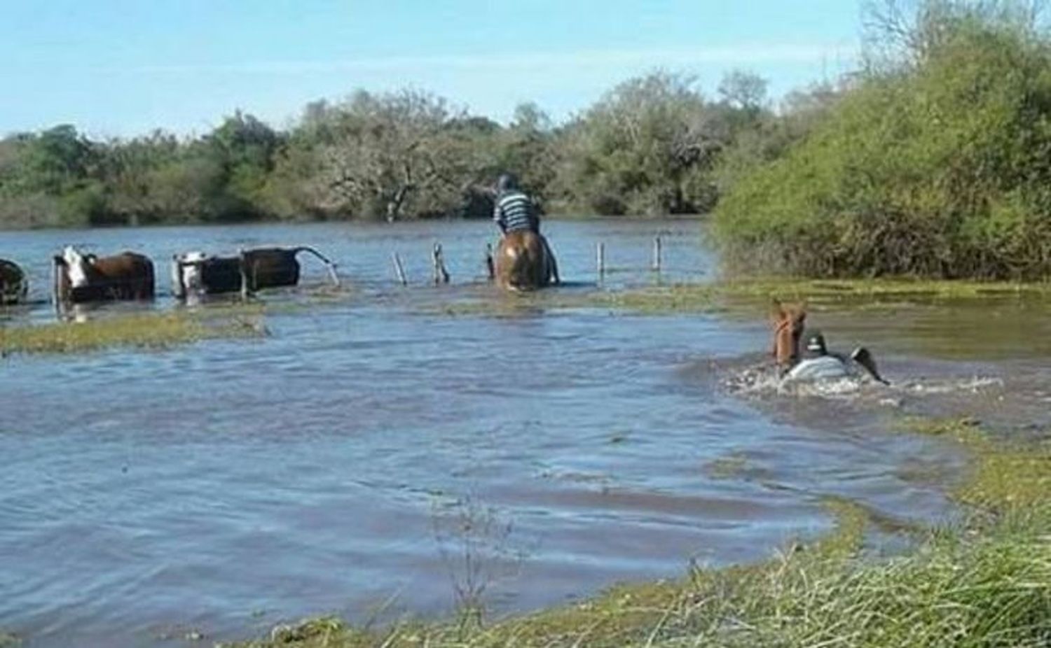 Se registraron miles de evacuados en esa provincia del Litoral