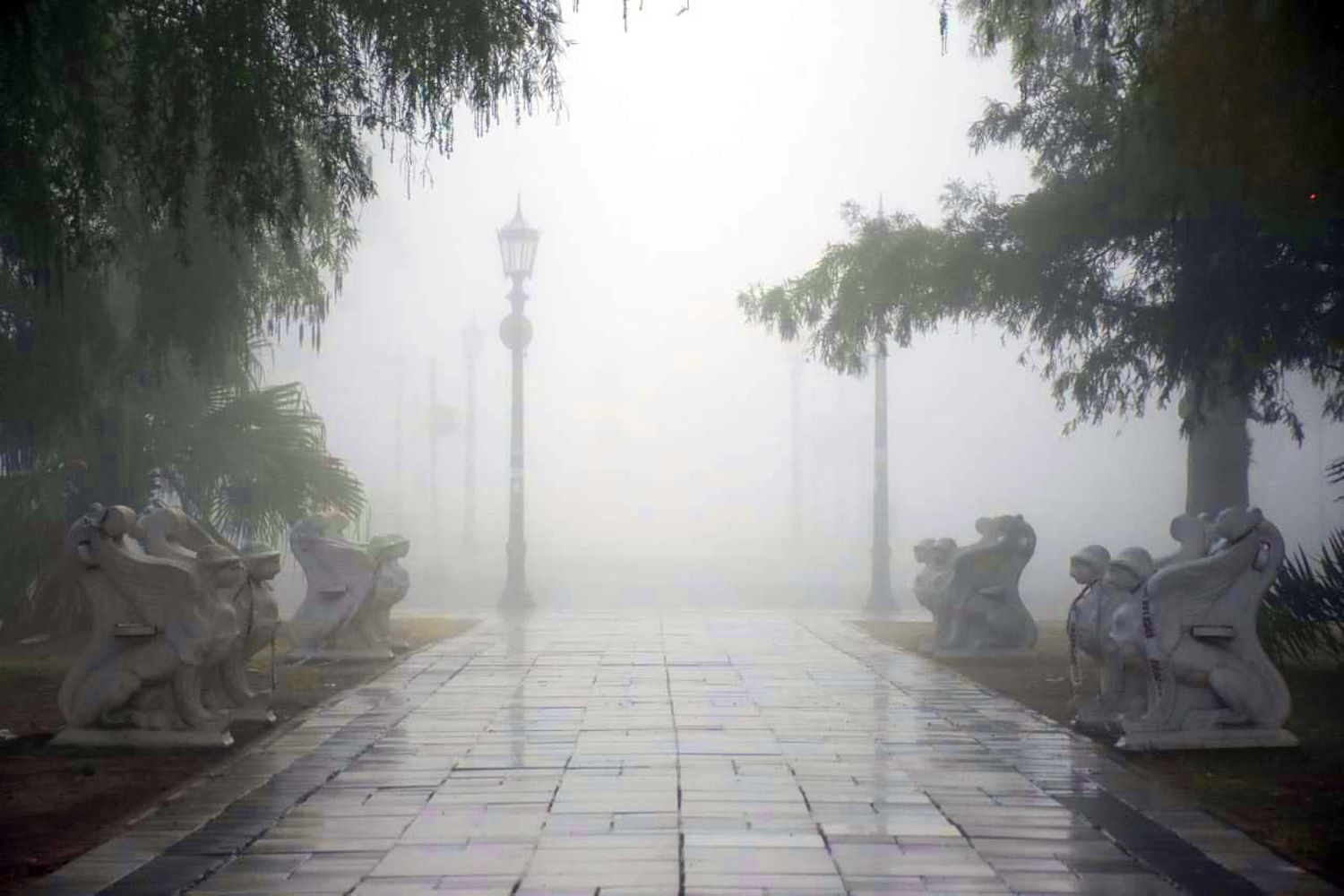 La niebla, protagonista de la mañana del sábado