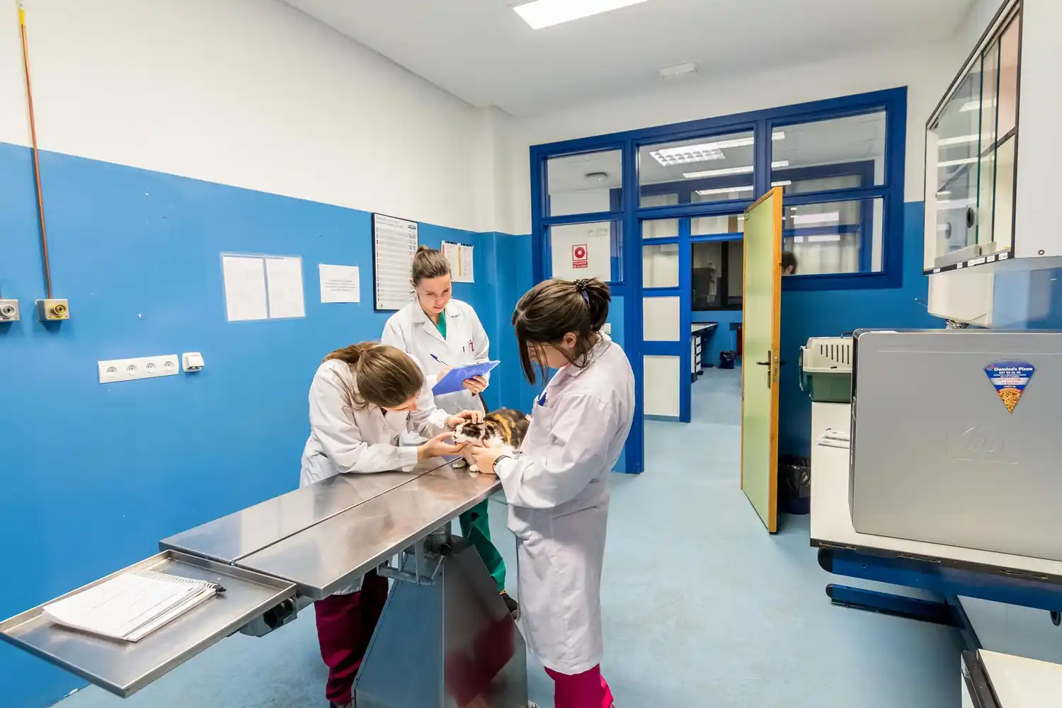 La UNER tendrá su hospital veterinario