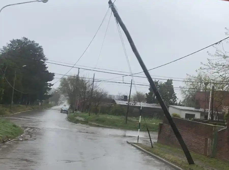 Temporal: rosales y palacios