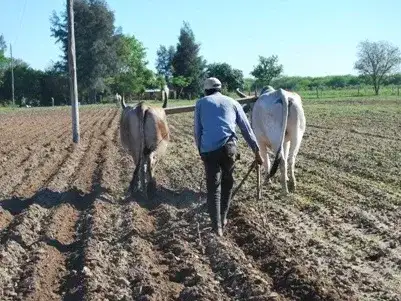 Formosa refuerza el control sobre tierras fiscales