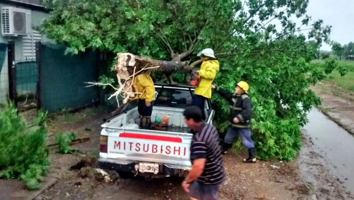 La tormenta arrasó con todo: los  vientos alcanzaron los 100 km/h