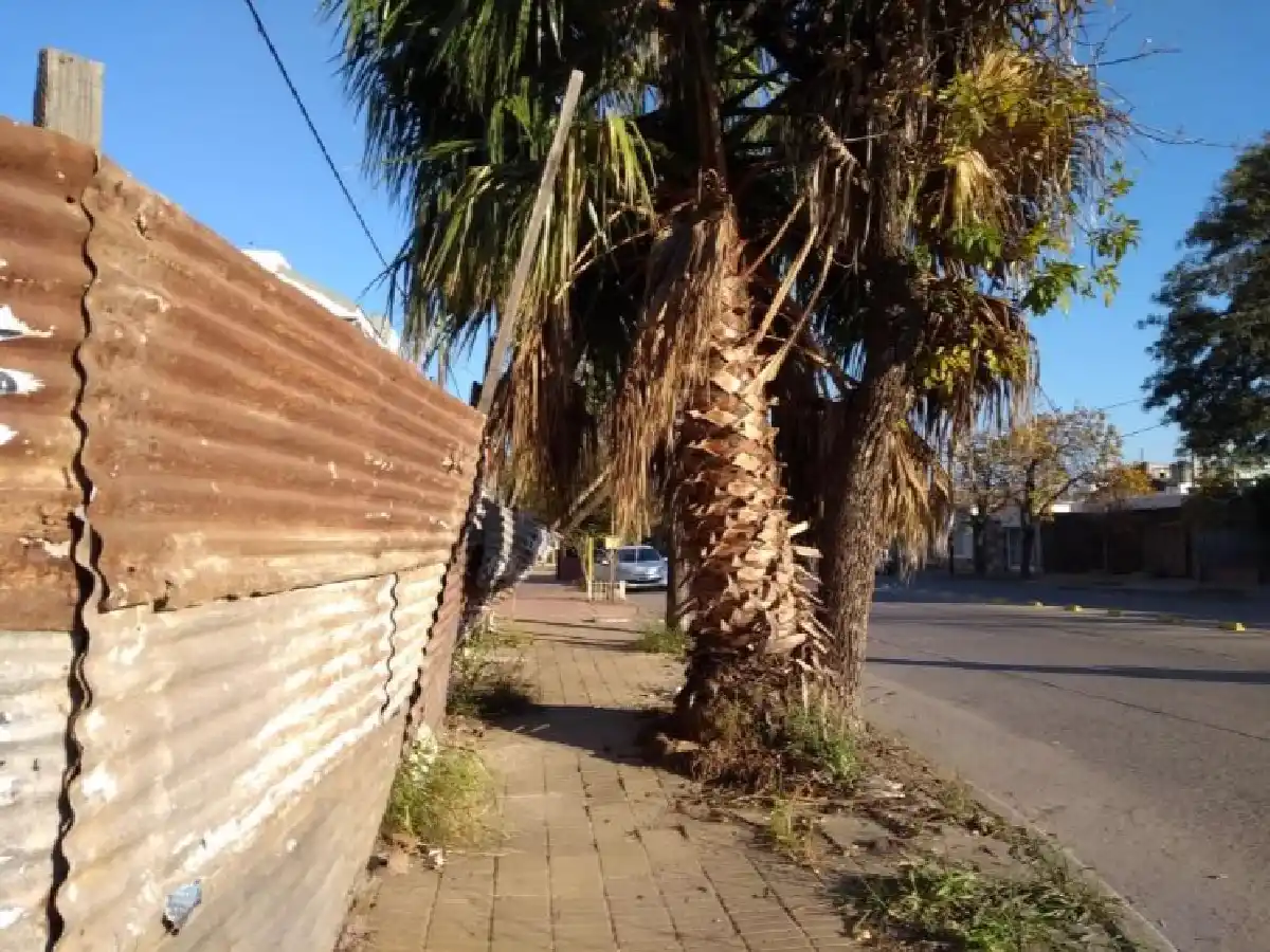 El estado de las veredas