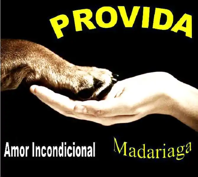 Madariaga: Lo detuvieron por maltratar a un perro 