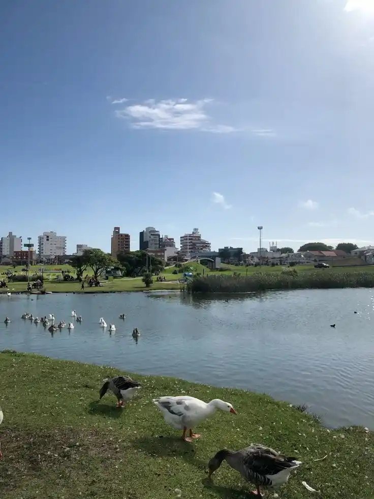 ¿Esta es tu primavera?: 0 grados de temperatura mínima y viento del noreste