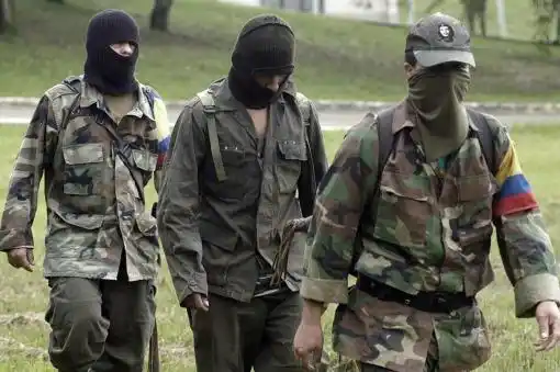 Comenzó el cese al fuego dispuesto unilateralmente por las FARC