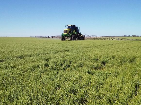 Chau glifosato: para el campo es “un embate a la producción”