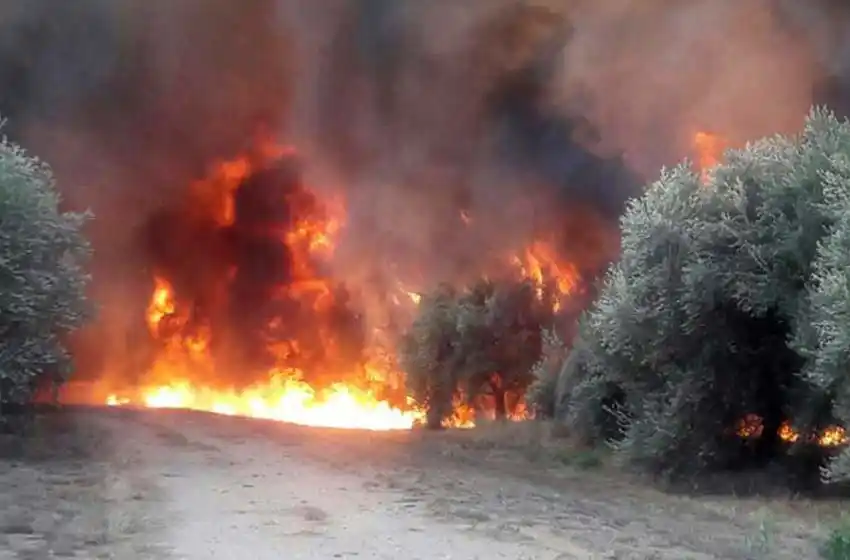 Alertan por focos incendios activos en siete provincias