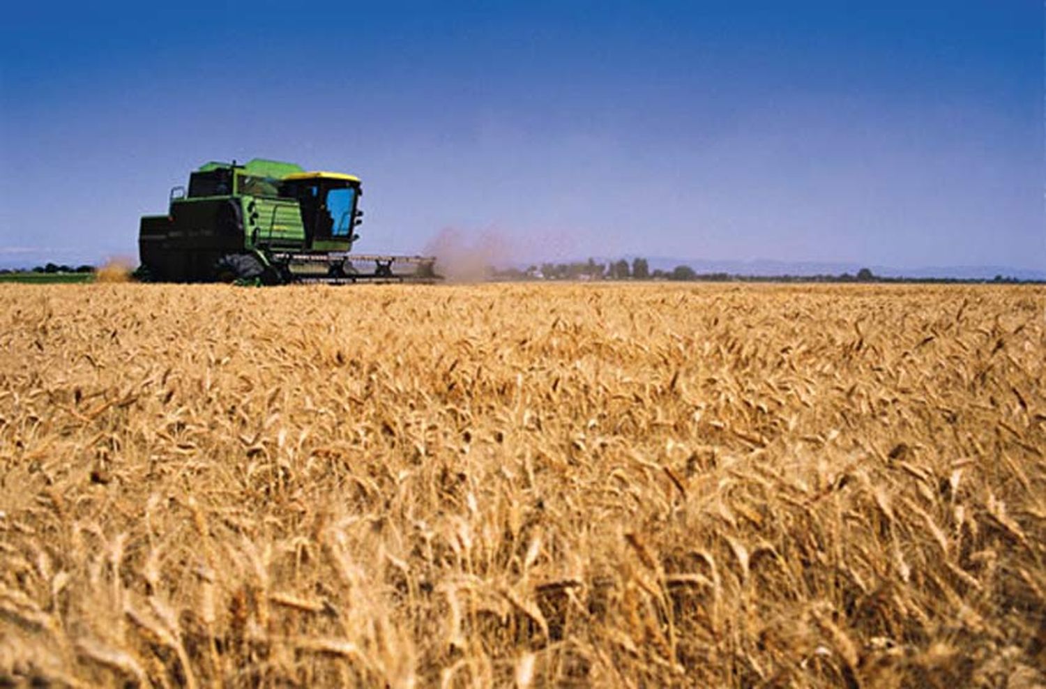 El campo santafesino apunta contra el Gobierno: «Venimos de dos años donde solo le pegó al sector productivo»