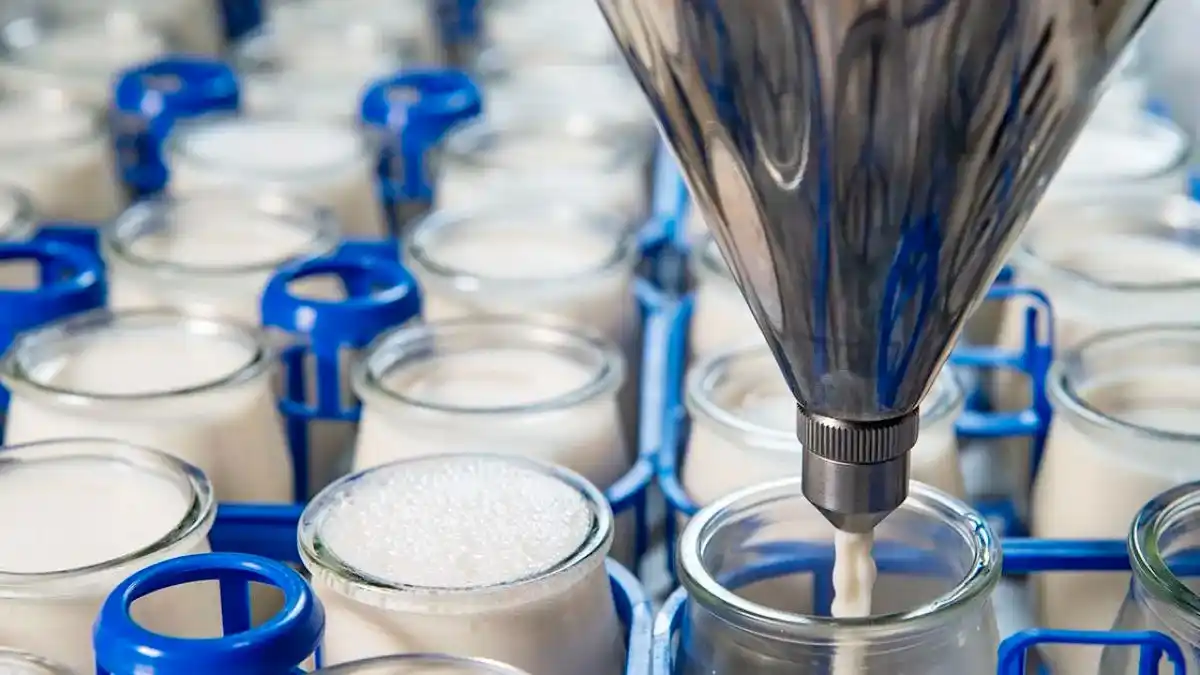 Presión de oferta: la producción mundial de leche creció un 5,1% interanual