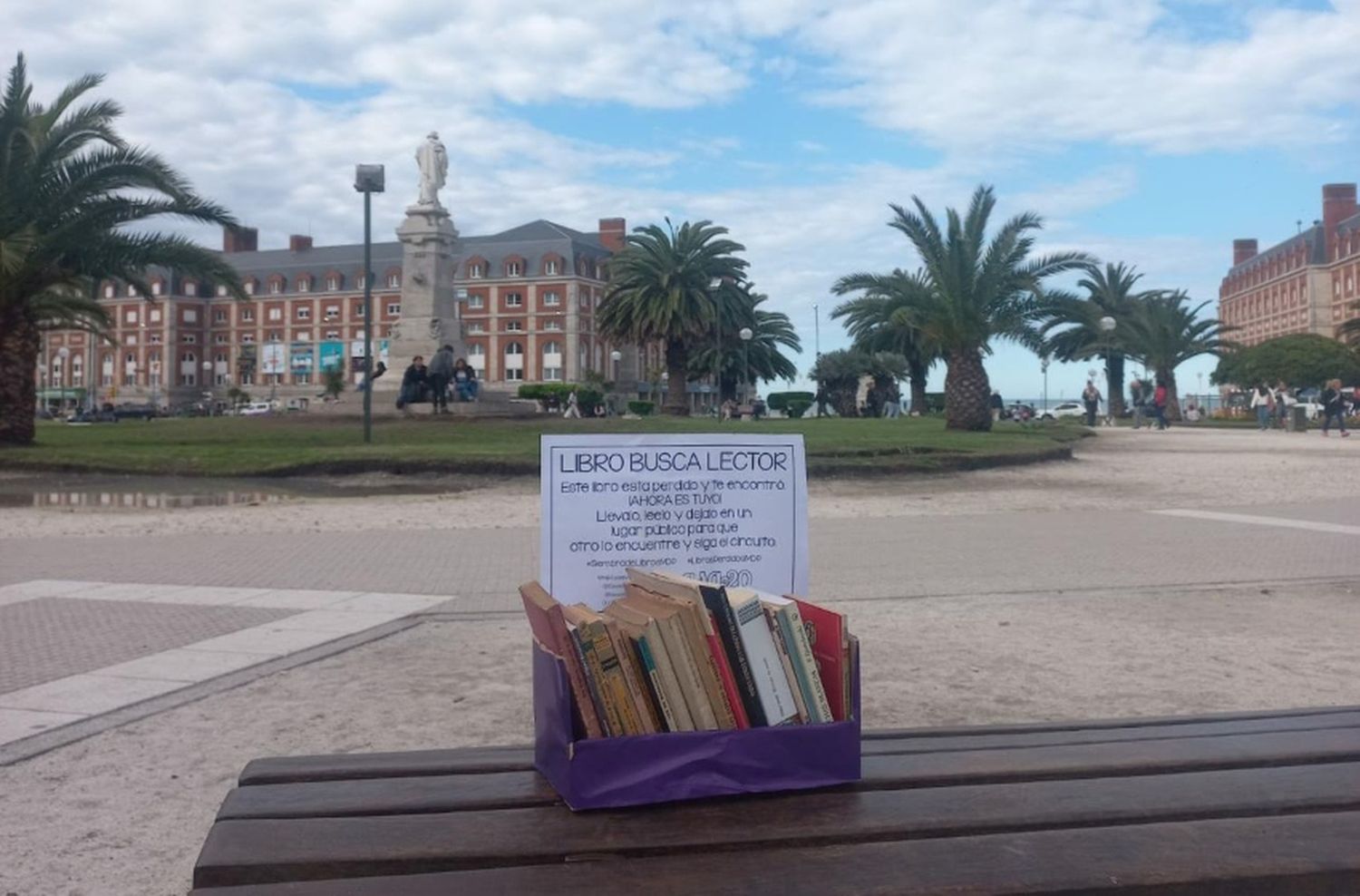 La ONG Casa de 20 realiza su primera "siembra de libros" del año
