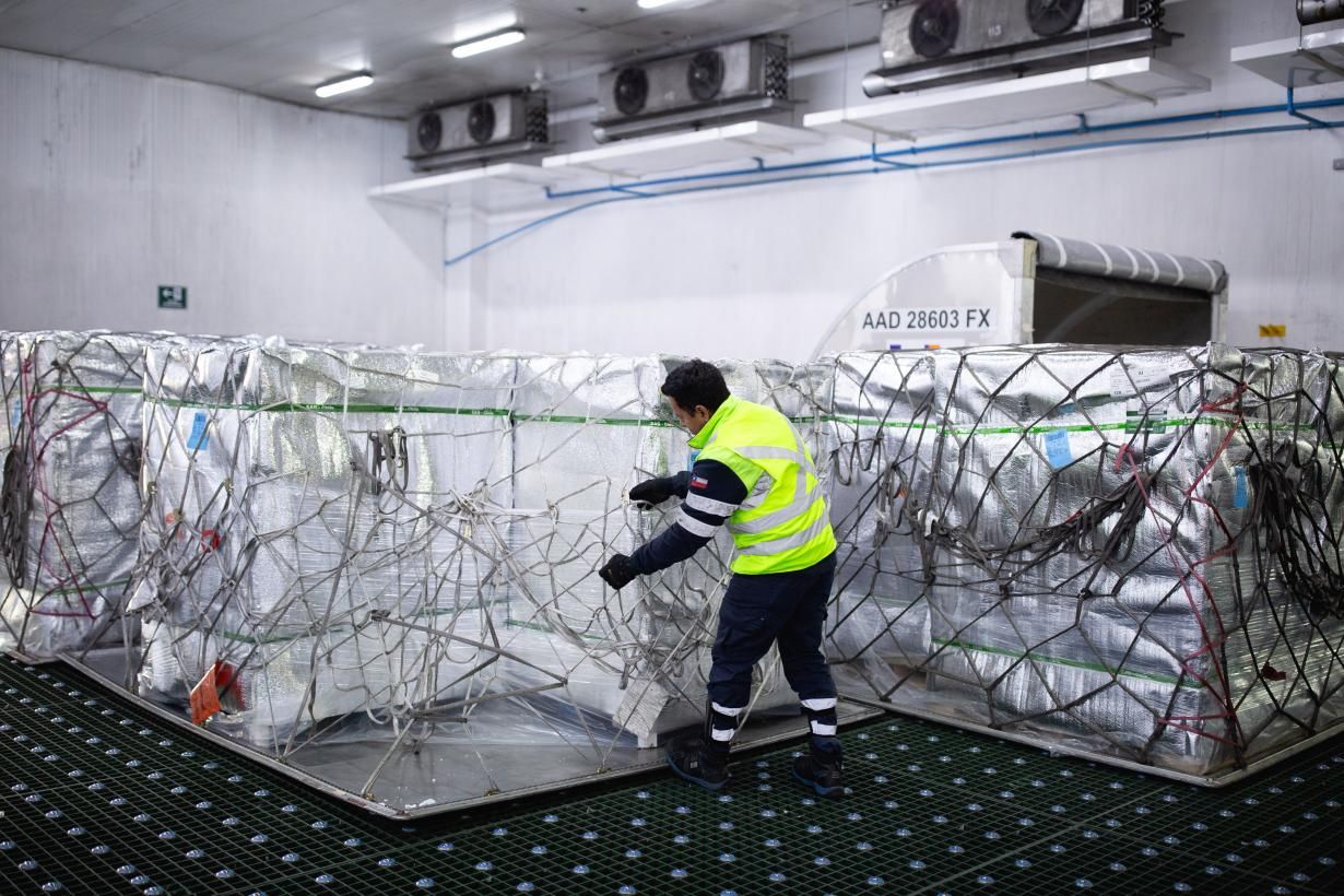 Aerosan prepara su logística de carga aérea para la temporada de fruta en Chile
