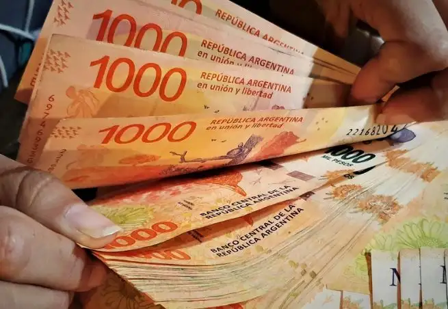 Anses pagará un bono de $100.000 en noviembre: quiénes lo cobran y cómo tramitarlo