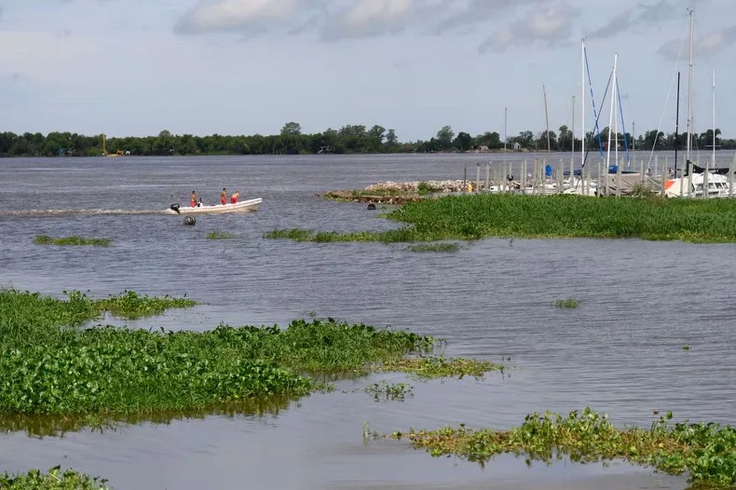 La creciente del río Paraná ayudó a regenerar su ecosistema