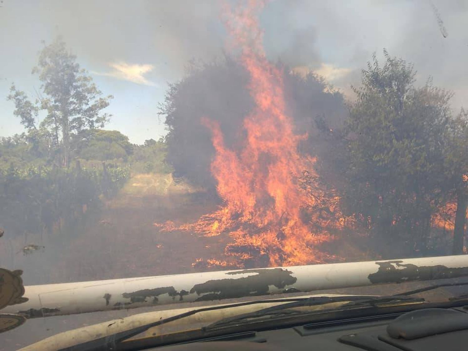 Bomberos Voluntarios trabajó en un nuevo incendio forestal