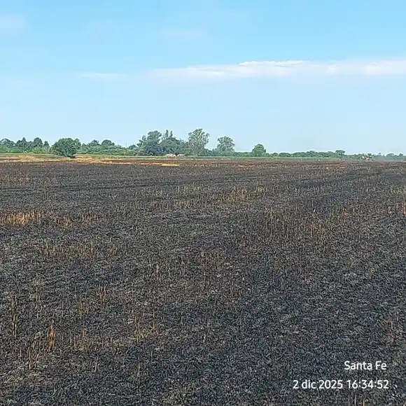 Impactante incendio en un rastrojo de trigo cerca de Colonia Margarita: quedaron afectadas 45 hectáreas