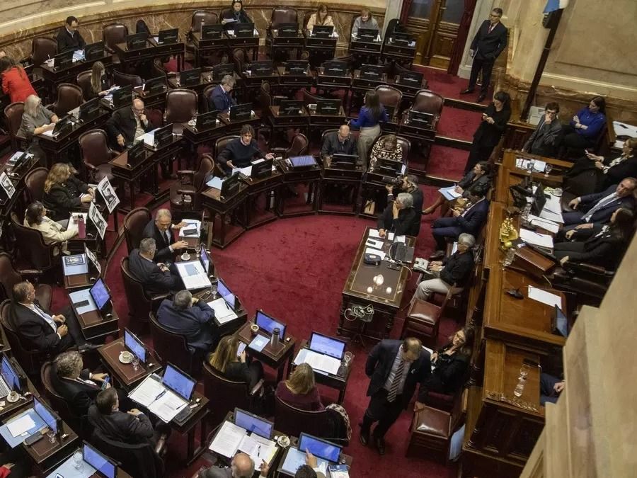 El oficialismo denunció un “golpe” en el Senado; la oposición habla de mayoría soberana. Foto: Gentileza